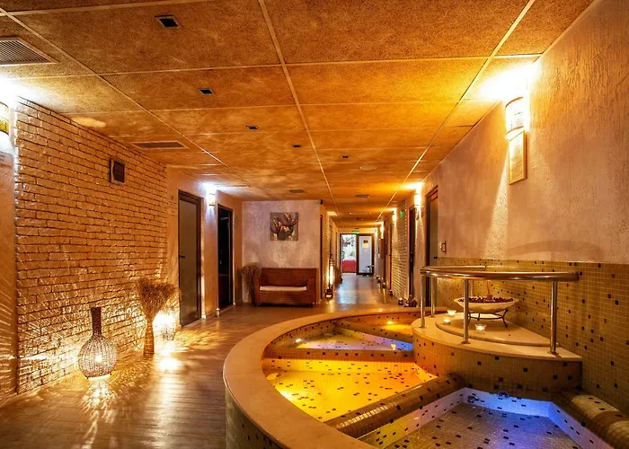 Hotel Balneo Complex & Aquatonik 4*